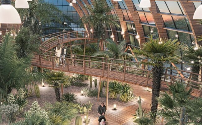 Nəbatat Bağının yeni görünüşü belə olacaq - FOTOLAR