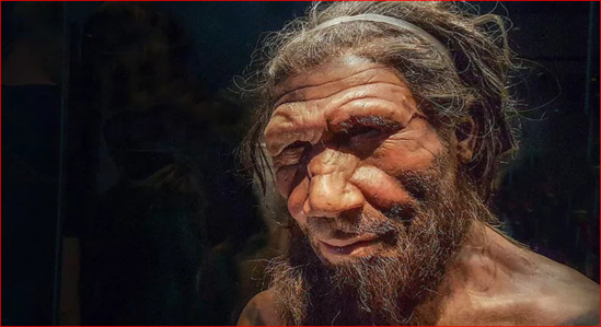 Neandertallar cütləşmə səbəbindən yox olublar