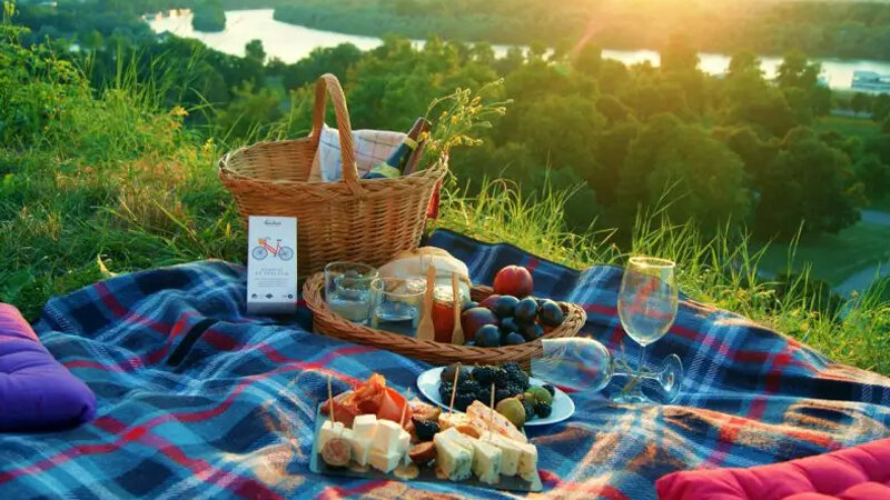 Mərkəzi Nəbatat Bağında piknik sahəsi bağlandı (SƏBƏB)