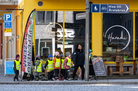 İsveçdə demoqrafik böhran: Ölkə yüzlərlə bağçanı bağlamağa hazırlaşır