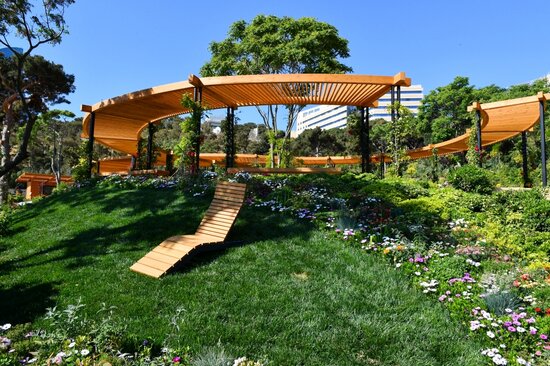 Prezident Bakıda yeni salınmış parkda - FOTOLAR