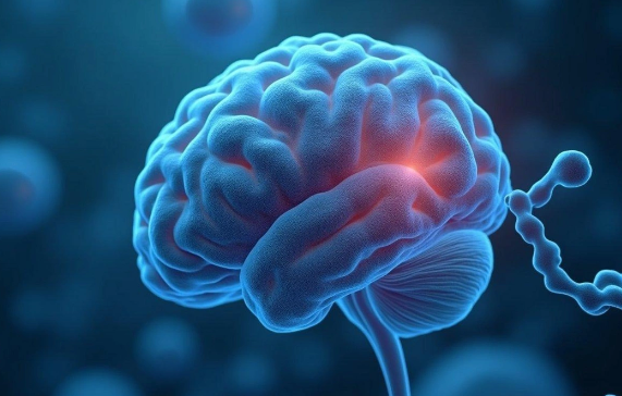 Yuxusuzluğun müalicəsinə kömək edən zülal aşkarlanıb