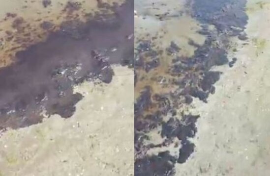 Bakıda çimərlikdə iyrənc mənzərə: Uzun bir zolaq neft məhsulu ilə çirklənib - VİDEO