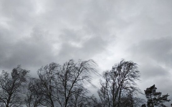 Rayonlarda güclü külək əsəcək - Xəbərdarlıq