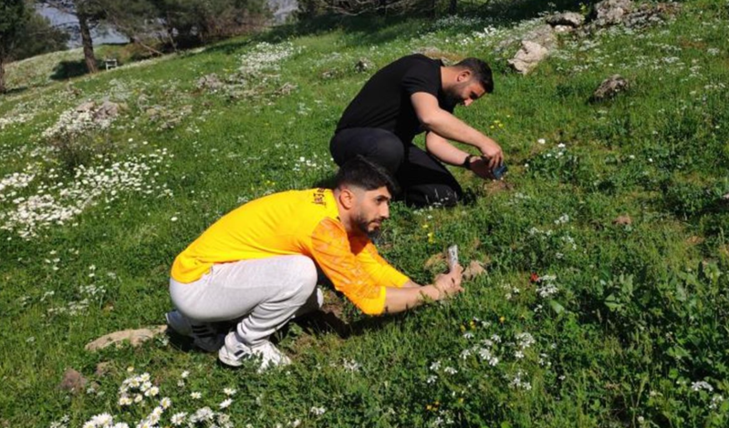 Ömrü 10 gün, qoparmağın cəzası bir maşın qiyməti