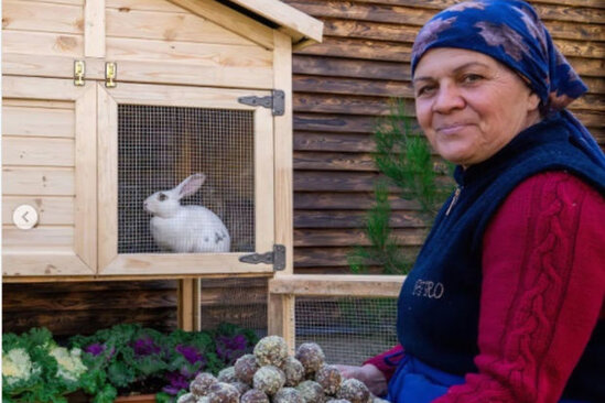 "YouTube"dan azərbaycanlı qadınla bağlı paylaşım - FOTO