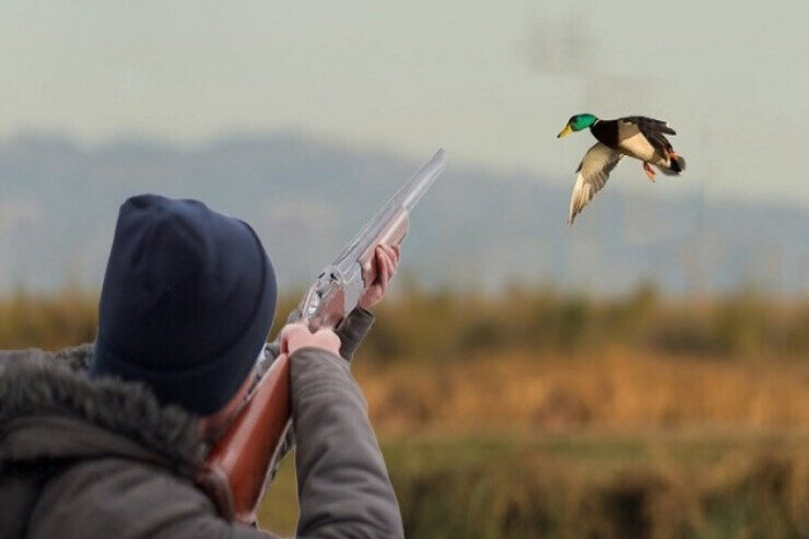 Ördəyi nişan alıb kürəkənini öldürdü - Ov zamanı DƏHŞƏT