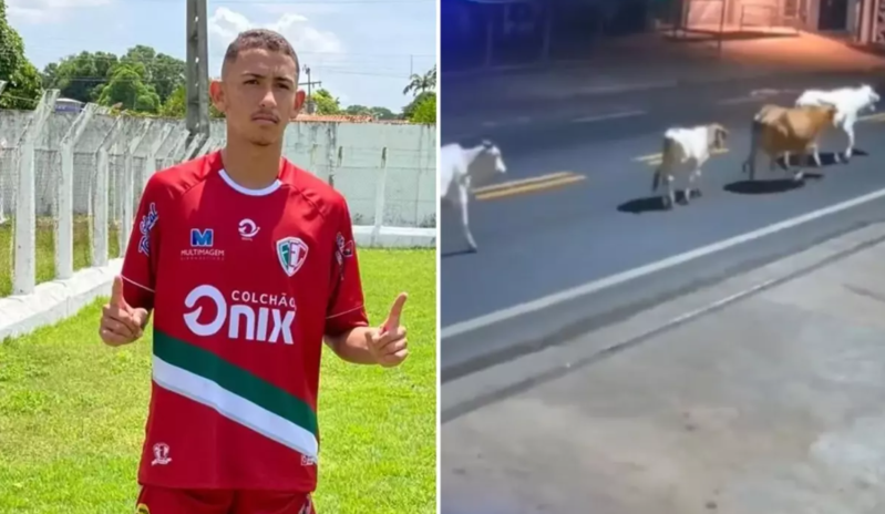 İnək dünyaca məşhur futbolçunu öldürdü