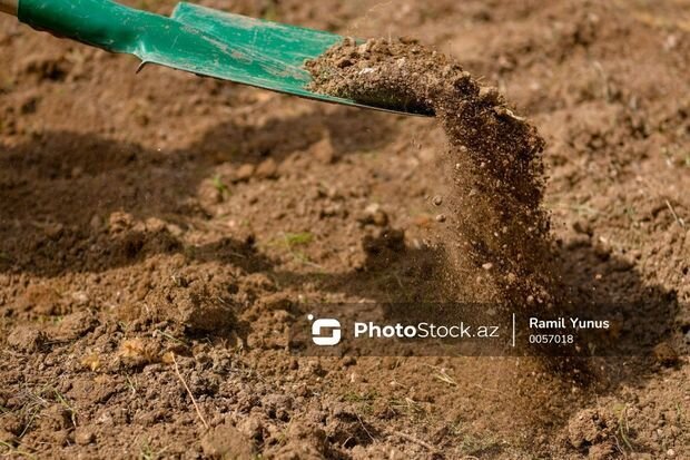 Torpaq almaq istəyənlərin diqqətinə: Hərrac keçiriləcək