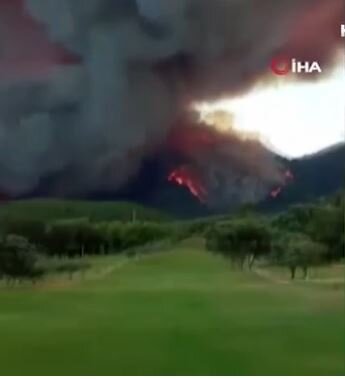 Meşə yanğını 800 hektara yayıldı-VİDEO