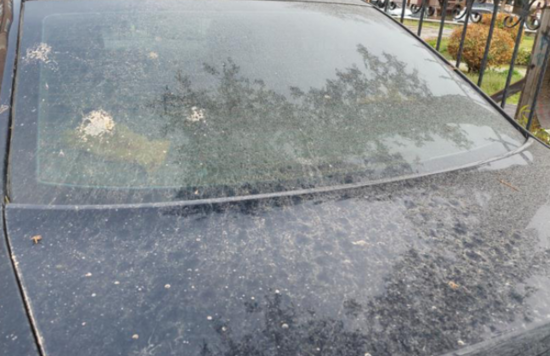 Bu şəhərdə 3 gün palçıq yağır