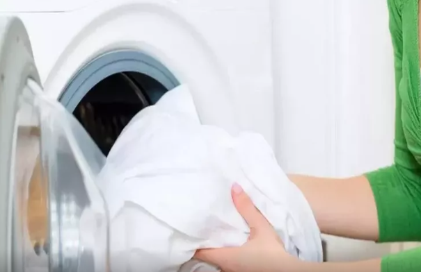 Paltaryuyan maşında qətiyyən yuyulmamalı 7 şey