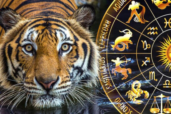 Pələng ilindən nə gözləyək? - PROQNOZ