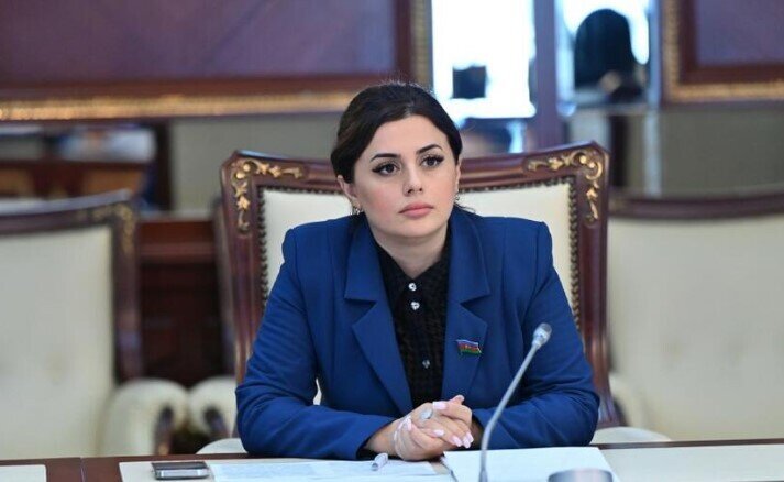 "Azərbaycan yaşıl enerjinin istehsalı və ötürülməsi sahəsində onlarla layihə həyata keçirir" - Pərvanə Vəliyeva