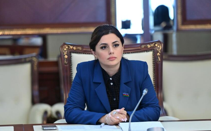 "ABŞ-ın vitse-prezidentinin Azərbaycana səfəri ikitərəfli münasibətlərdə mühüm mərhələni ifadə edir" - AÇIQLAMA