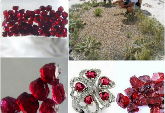 Qarışqa yuvasından bu daşı tapıb varlana bilərsiniz - 300 min manat qiyməti var!