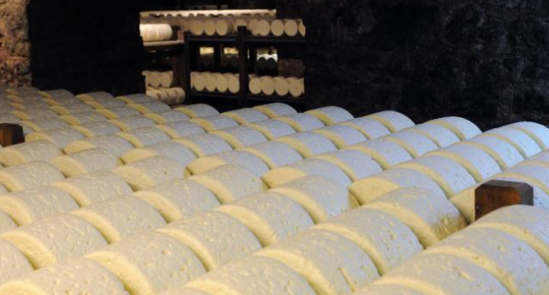 Pizza və şokoladdan sonra bu məhsulda da bakteriya aşkarlandı