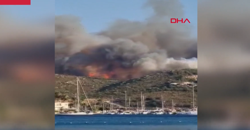 Qardaş ölkədə meşə yanğınları davam edir - VİDEO