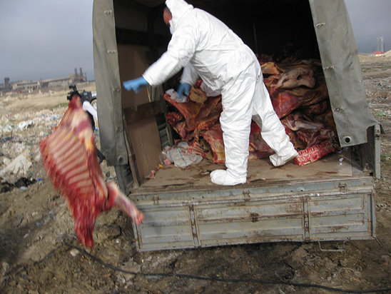 Yolxucu xəstəlik TƏHLÜKƏSİ - DİQQƏT