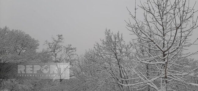 Şuşaya qar yağır, yollar təmizlənir - FOTO