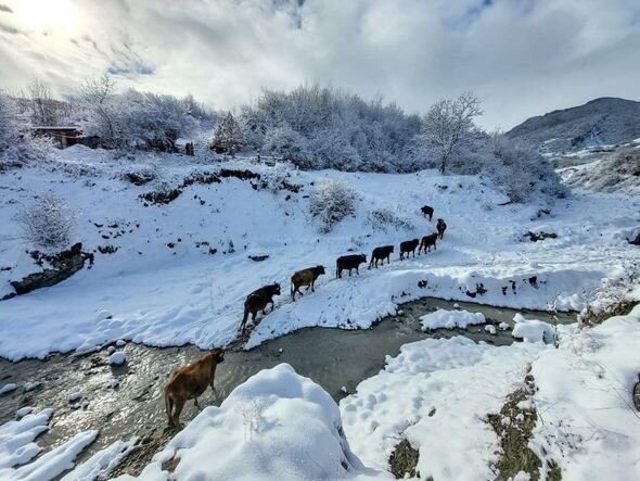 İsmayıllıda qar mənzərələri - FOTO