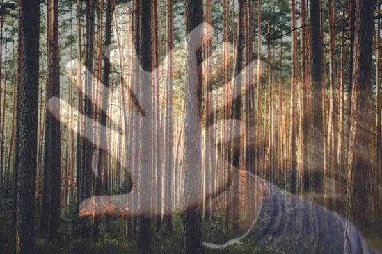 Qadını meşədə ölümlə hədələyərək maşına saldı