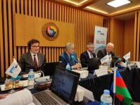 QDİƏT-ə üzv ölkələrə Zəngəzur dəhlizinin imkanlarından istifadə etmək təklif olundu - FOTO