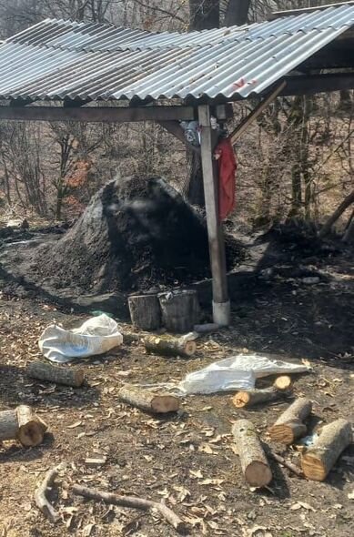 Qəbələ, Quba, Masallıda qanunsuz kömür quyuları ləğv olunub - FOTO