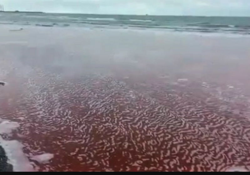 Xəzər dənizinin bir hissəsi NİYƏ QIRMIZI RƏNGƏ BOYANIB? - RƏSMİ AÇIQLAMA