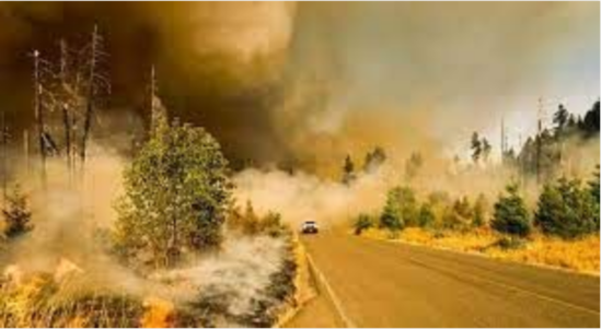 Qlobal istiləşmə təbii fəlakətləri artıracaq - ALİMLƏR