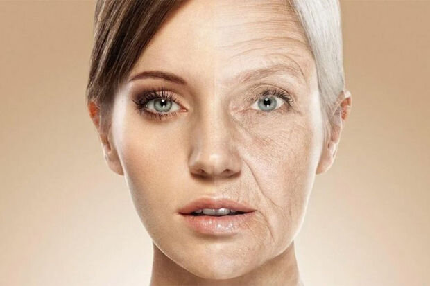 Alimlər bioloji yaşlanmanın bir neçə növünü müəyyən ediblər