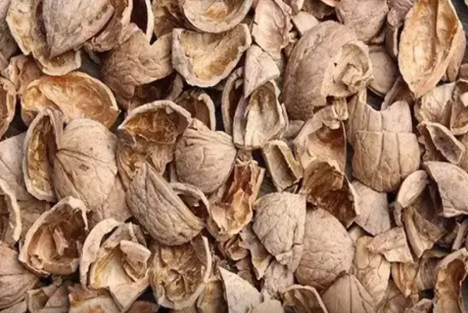 Qoz qabığı tüklərin kökünü qurudur