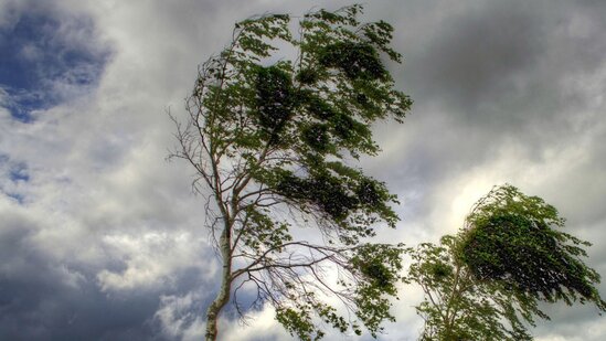 Bakıda güclü külək nəticəsində neçə nəfər xəsarət alıb? Son məlumat