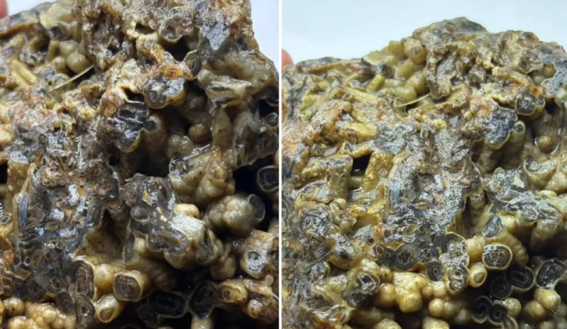 Təsadüfən tapdığı bu daşı 50 minə satışa çıxardı