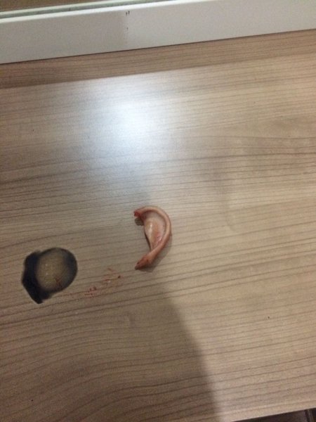 "Lotu Quli"nin adamı -məşhur azərbaycanlı "oğru"nun qulağı kəsildi: DƏHŞƏTLİ FOTOLAR +18