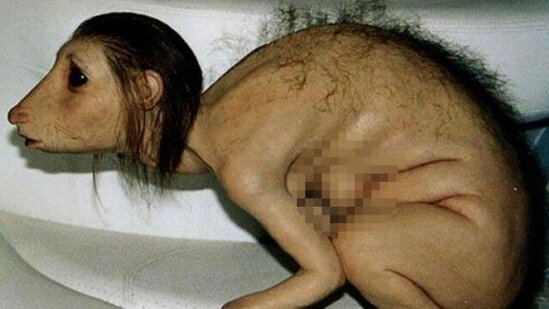 Quranı cıraraq "məxluğa çevrilən qız"ın hekayəsi - FOTOLAR