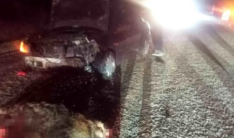 Anidən yola çıxdı, qəzaya səbəb oldu