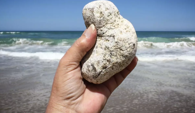 Adi bir daş kimi görünür, sahillərdə tapan milyoner olur