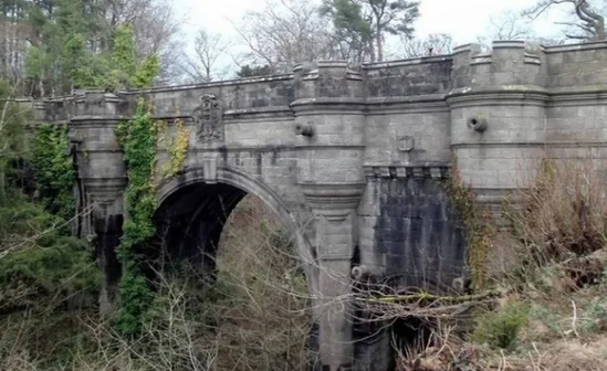 Bu körpüyə gedən itlər intihar edir /FOTOLAR