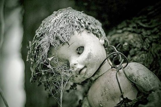 ŞOK FAKTLAR: Sahibini zorlayan, öldürən KUKLALAR - FOTO/VİDEO