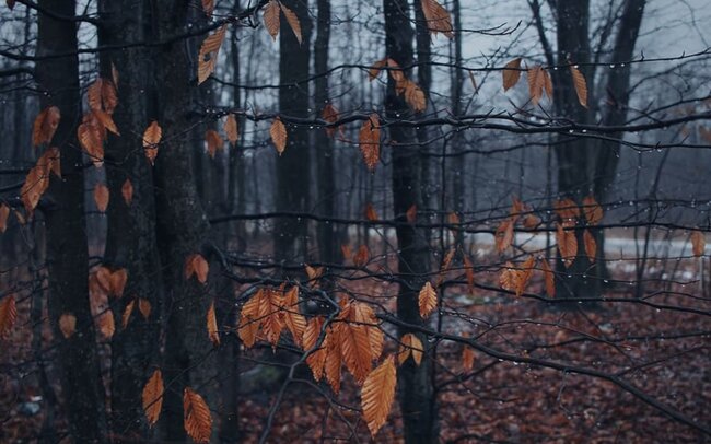 Sabahdan hava dəyişəcək - Xəbərdarlıq