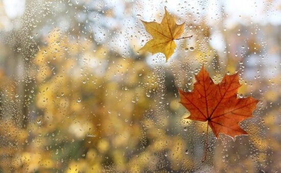 Sabah hava necə olacaq?