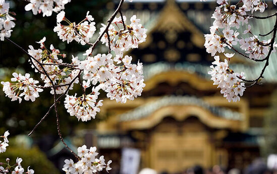 Sabah 26°-dək isti gözlənilir