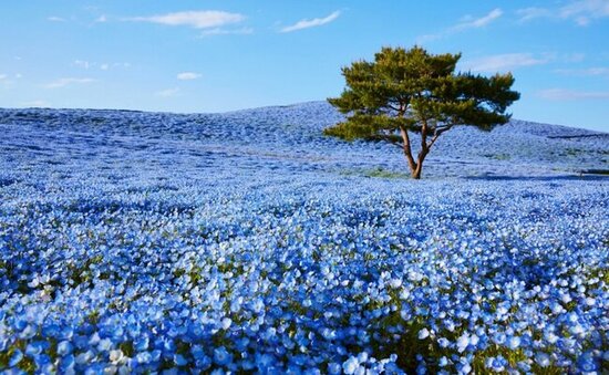 Sabah 36 dərəcə isti olacaq