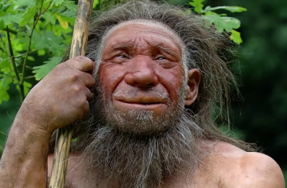 Neandertalların yoxa çıxması ilə bağlı yeni elmi faktlar