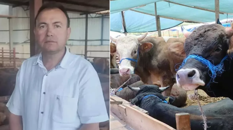 Satdığı heyvanın fotosunu çəkmək istəyərkən canından oldu