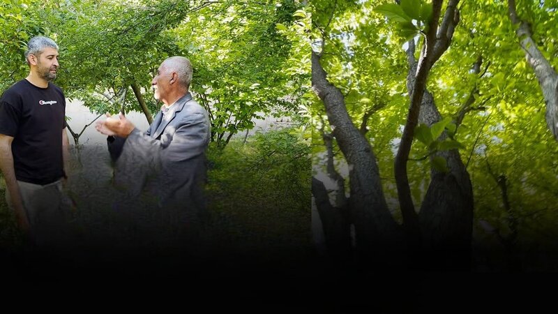 Bu bağban meyvələrini HƏRBÇİLƏR İLƏ BÖLÜŞÜR - VİDEO