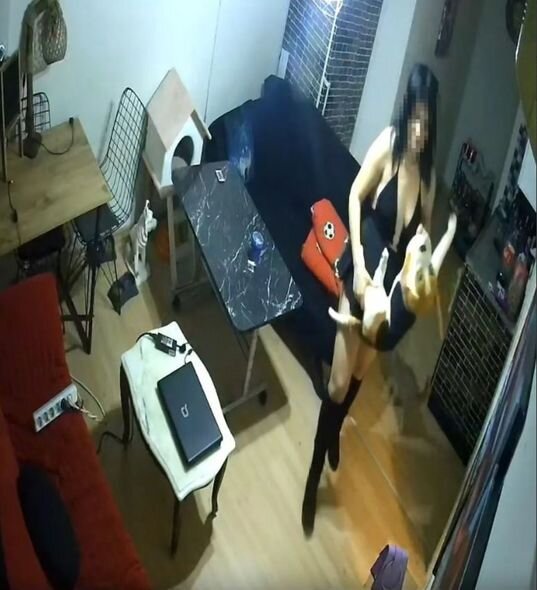 Mini ətək və dekolteli oğrulardan unikal qarət üsulu - FOTO