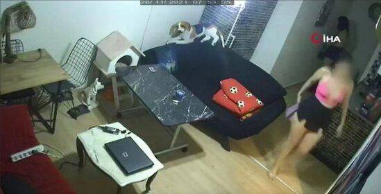 Mini ətək və dekolteli oğrulardan unikal qarət üsulu - FOTO