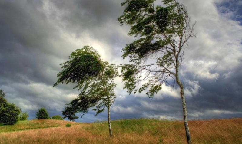 Bəzi bölgələrdə güclü külək əsəcək - XƏBƏRDARLIQ